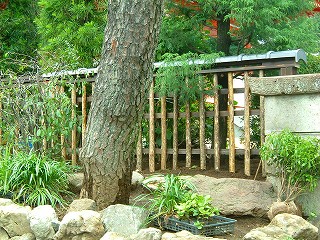 木柵